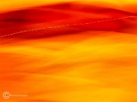 Bild  14