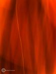 Bild  7